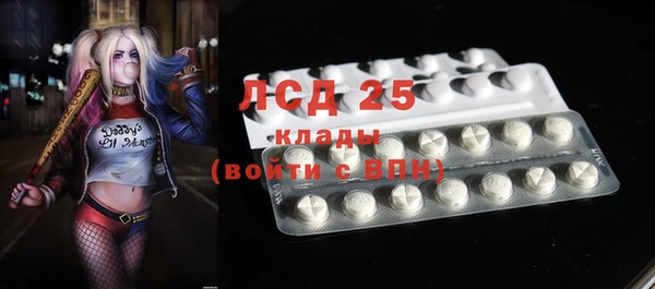 ПСИЛОЦИБИНОВЫЕ ГРИБЫ Михайловск