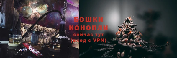 гидра Михайловск