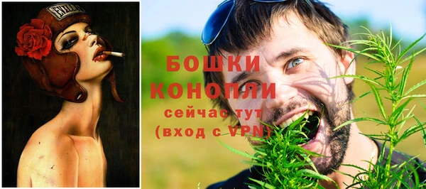 дурь Осташков